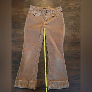 Jones New York Women's Brown Flare Jeans